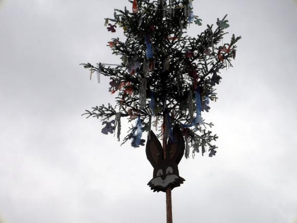 der Narrenbaum geziert von den Hasen des SV Michelbach wurde am Lindenplatz erfolgreich gestellt