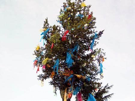 Farbenfroh präsentiert sich der Michelbacher Narrenbaum
